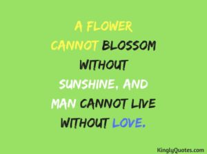 Top 20 Everseen Best Love Quotes.