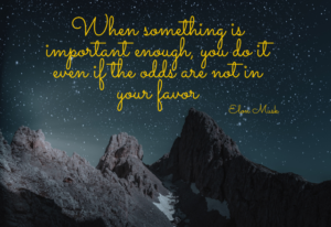 Inspirational Quotes By Elon Musk.
