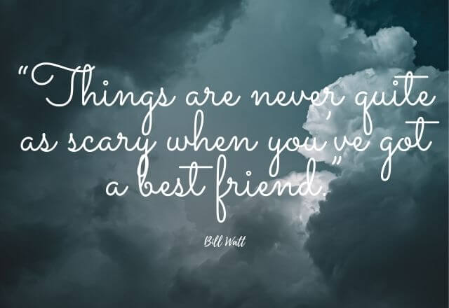 Top 11 Best Friendship Quotes, Which Makes Your Friendship Day