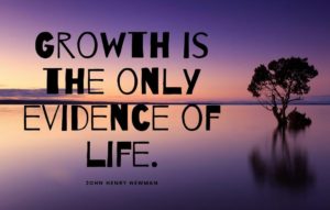 Best life quotations In 2021 For Your Instagram Caption