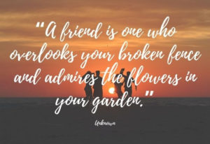 Friendship Day Quotes