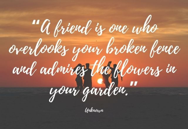 Friendship Day Quotes