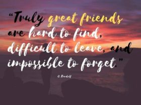 Friendship Day Quotes