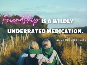 Best Friendship Quotes