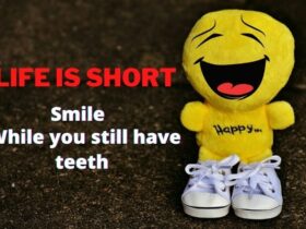 Funny Quotes
