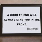 Funny Friendship Quotes