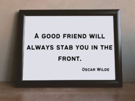 Funny Friendship Quotes