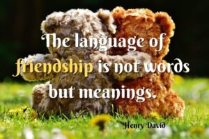 Meaningful Friendship Quotes