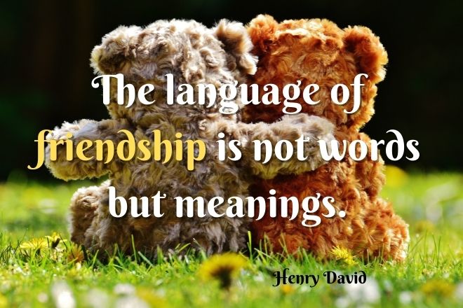 Meaningful Friendship Quotes