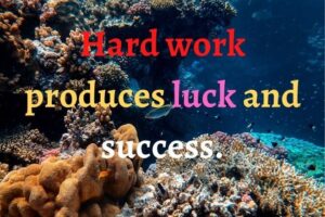 Motto In Life