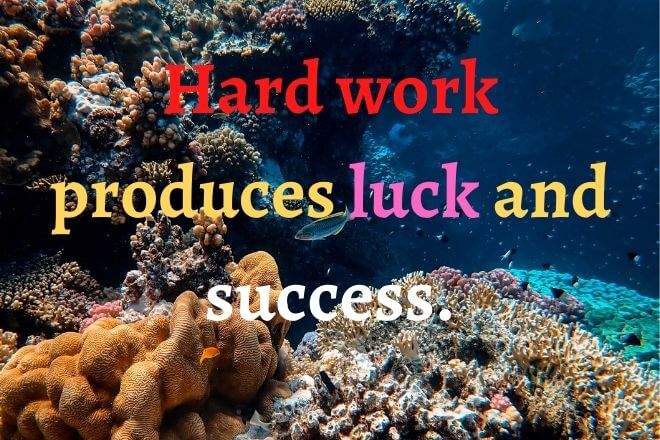 Motto In Life 