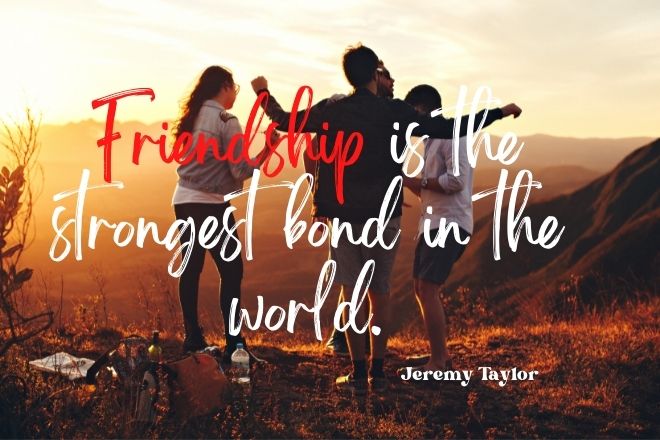 Short Friendship Quotes