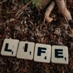 Beautiful Quotes On Life