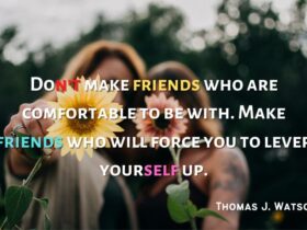 Cute Friendship Quotes