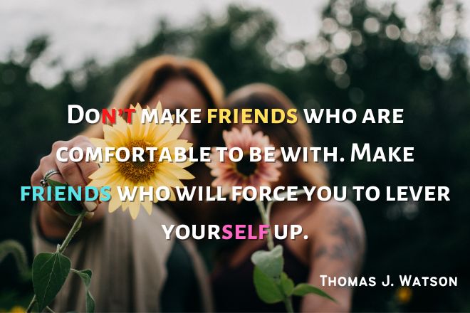 Cute Friendship Quotes