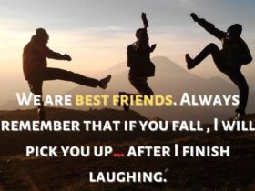 Funny Best Friend Quotes