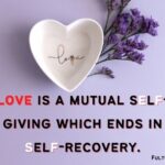 Funny Love Quotes