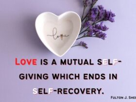 Funny Love Quotes