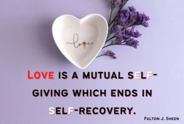Funny Love Quotes