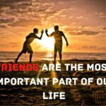Friendship Lines