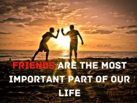 Friendship Lines
