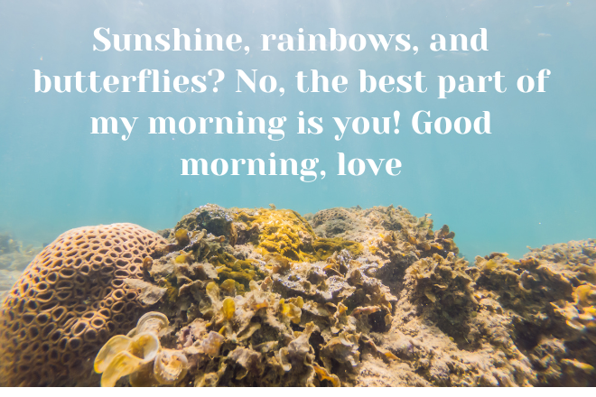good morning quotes
