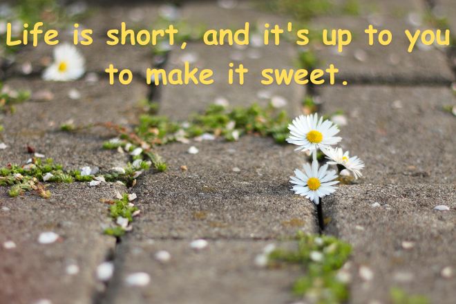 life quotes