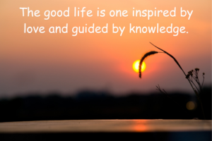 positive quotes
