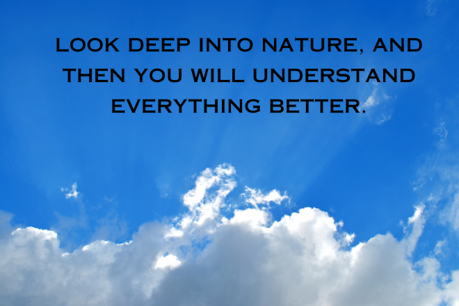 Motivational Quotes for a Brighter Tomorrow