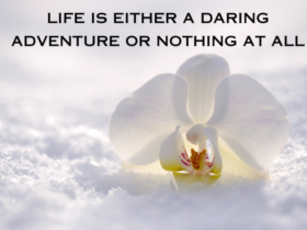 motivational quotes
