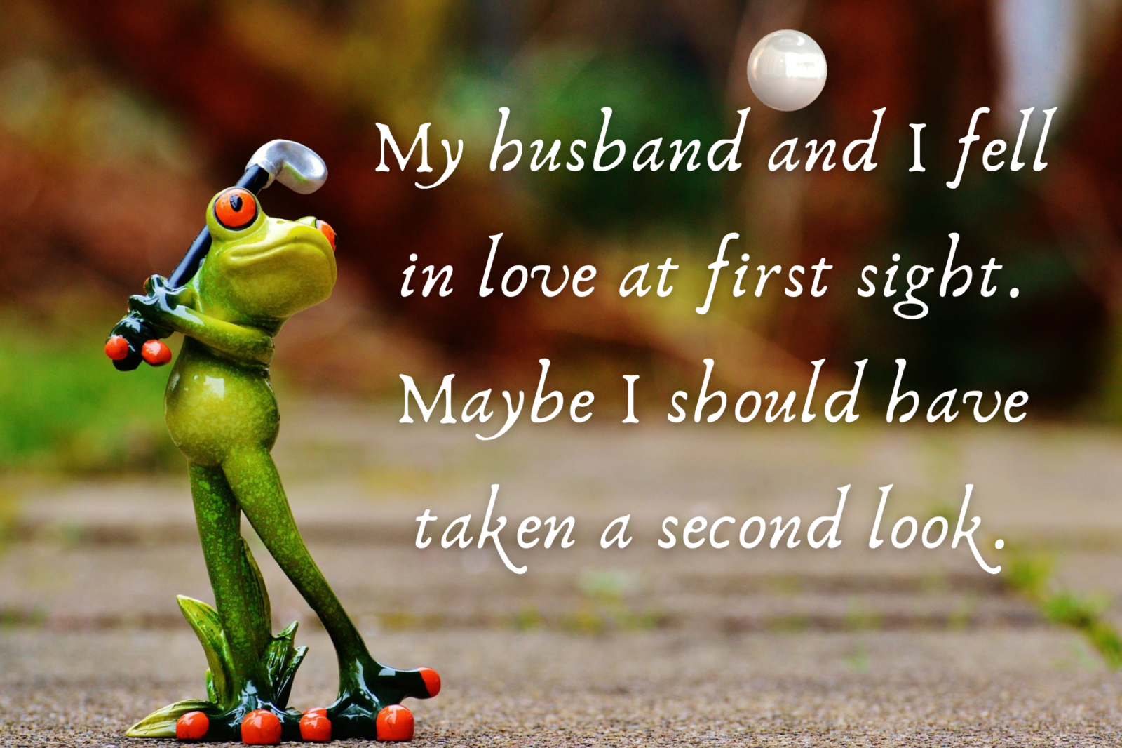 funny quotes